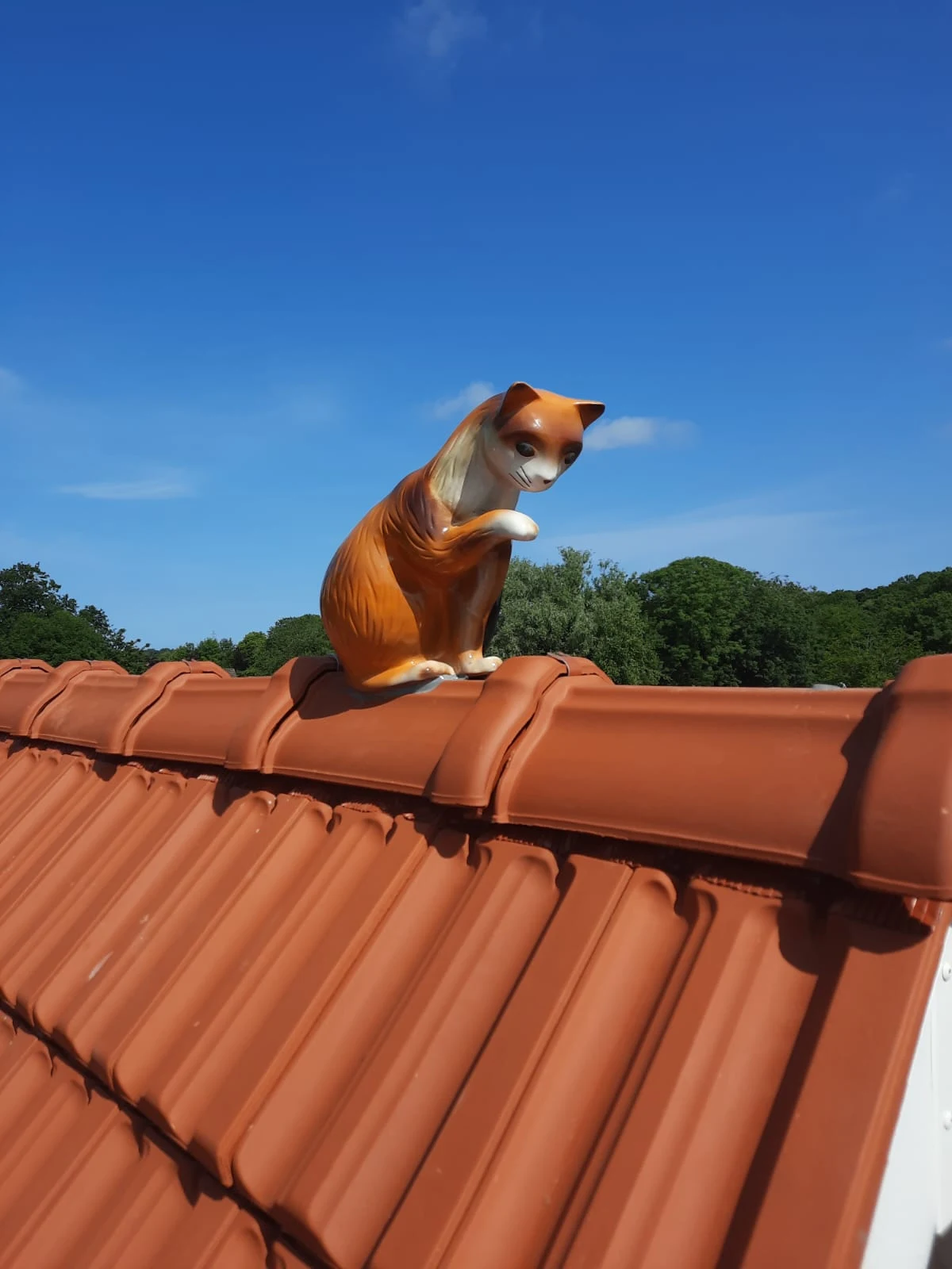 Katzenfigur auf dem neuen Dachfirst